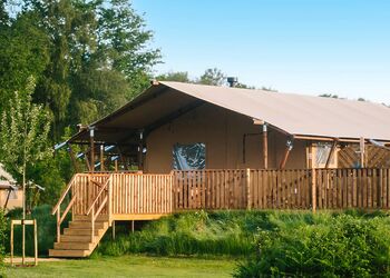 The Woody Safari Tent (Pet) - Green Hill Farm Holiday Village, Landford,  Nr Salisbury