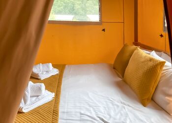 The Woody Safari Tent (Pet) - Green Hill Farm Holiday Village, Landford,  Nr Salisbury