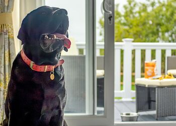 Premium 2 bed HT Pet - Green Hill Farm Holiday Village, Landford,  Nr Salisbury