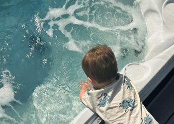 Premium 2 bed HT Pet - Green Hill Farm Holiday Village, Landford,  Nr Salisbury