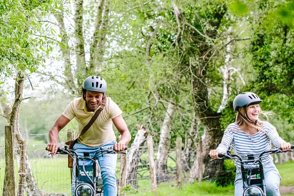 Green Hill Farm Holiday Village, Landford,  Nr Salisbury