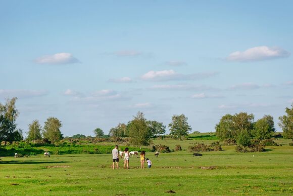 Luxury 2 Bed - Green Hill Farm Holiday Village, Landford,  Nr Salisbury