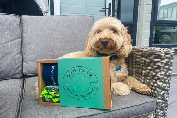 Luxury 2 Bed (Pet) - Green Hill Farm Holiday Village, Landford,  Nr Salisbury