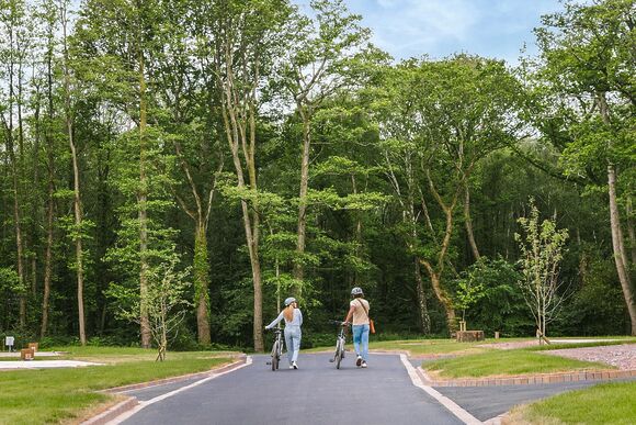 Premium 3 Bed (Pet) - Green Hill Farm Holiday Village, Landford,  Nr Salisbury