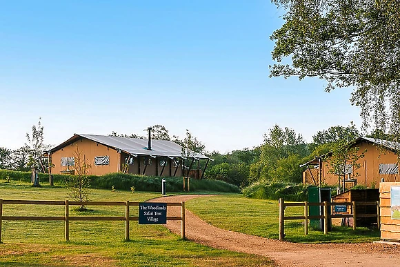 The Woody Safari Tent HT - Green Hill Farm Holiday Village, Landford,  Nr Salisbury