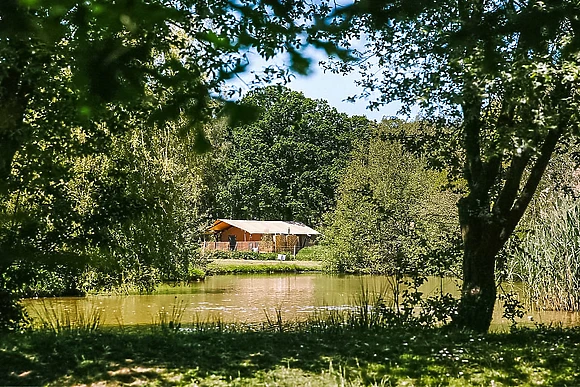 The Woody Safari Tent HT - Green Hill Farm Holiday Village, Landford,  Nr Salisbury