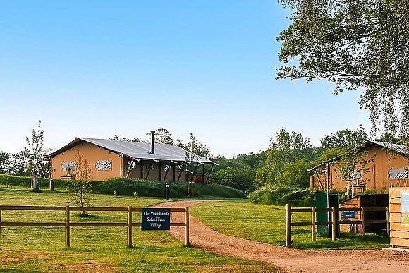 The Woody Safari Tent HT (Pet) - Green Hill Farm Holiday Village, Landford,  Nr Salisbury