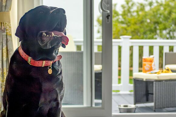 Exclusive Lodge 4 bed HT Pet - Green Hill Farm Holiday Village, Landford,  Nr Salisbury