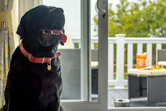 Premium 3 bed HT Pet - Green Hill Farm Holiday Village, Landford,  Nr Salisbury