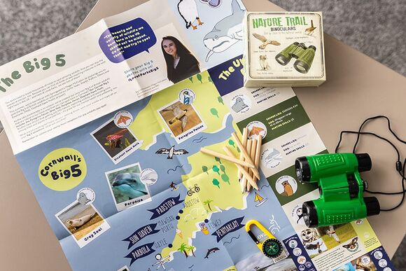 Exclusive 2 bedroom Sauna Lodge sleeps 4 - Green Hill Farm Holiday Village, Landford,  Nr Salisbury