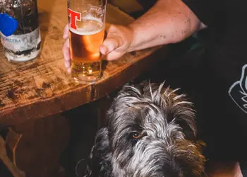 Glen Clova Lodges, Nr Kirriemuir