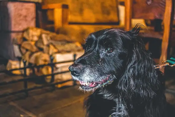 Glen Clova Lodges, Nr Kirriemuir