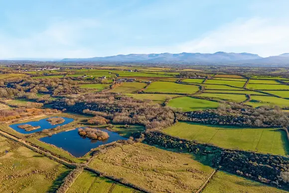 Glan Morfa Lodge Retreat, Llangafo