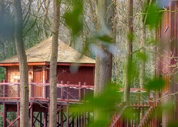 Golden Oak 5 Bed Treehouse Pet Free - Glentress Forest, Peebles
