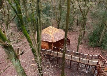 Golden Oak 5 Bed Treehouse Pet Free - Glentress Forest, Peebles