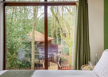 Golden Oak 5 Bed Treehouse Pet Free - Glentress Forest, Peebles