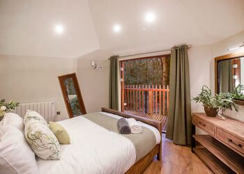 Golden Oak 5 Bed Treehouse Pet - Glentress Forest, Peebles