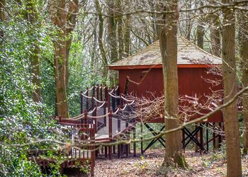 Golden Oak 5 Bed Treehouse Pet - Glentress Forest, Peebles