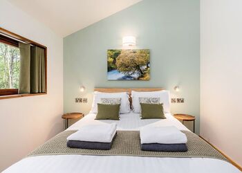 Golden Oak 3 Bed Pet Free (2 double and 1 twin) - Glentress Forest, Peebles