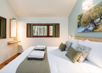 Golden Oak 3 Bed Pet Free (2 double and 1 twin) - Glentress Forest, Peebles