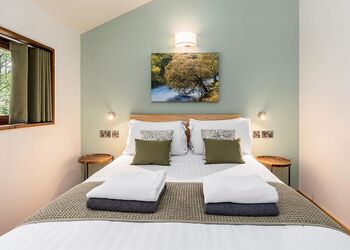 Golden Oak 3 Bed Pet (2 doubles and 1 twin) - Glentress Forest, Peebles