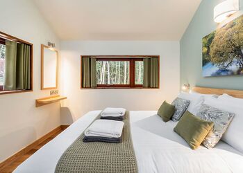 Golden Oak 3 Bed Pet (2 doubles and 1 twin) - Glentress Forest, Peebles