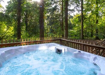 Silver Birch 2 Bed Pet - Glentress Forest, Peebles