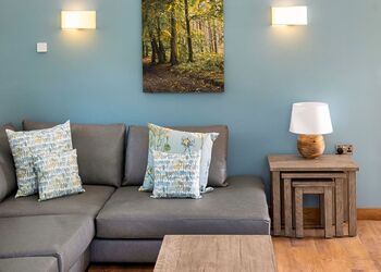 Silver Birch 3 Bed Pet (DDA) - Glentress Forest, Peebles