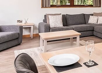 Silver Birch 3 Bed Pet Free (2 Doubles and 1 twin) - Glentress Forest, Peebles