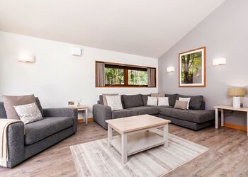 White Willow 3 Bed Pet Free - Glentress Forest, Peebles