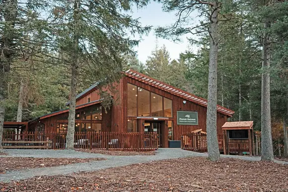 Glentress Forest, Peebles