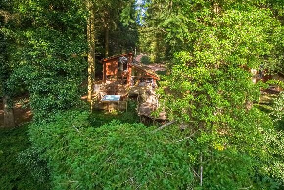 Golden Oak 5 Bed Treehouse Pet - Glentress Forest, Peebles