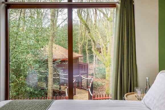 Golden Oak 5 Bed Treehouse Pet - Glentress Forest, Peebles