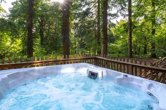 Silver Birch 2 Bed Pet - Glentress Forest, Peebles