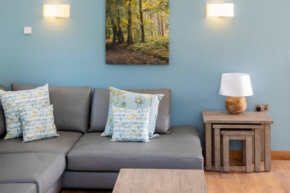 Silver Birch 2 Bed Pet - Glentress Forest, Peebles