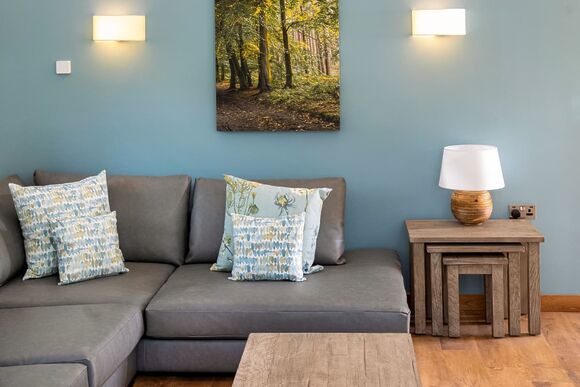 Silver Birch 2 Bed Pet (DDA) - Glentress Forest, Peebles