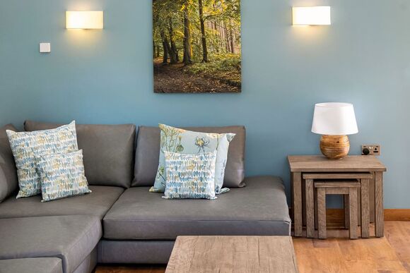 Silver Birch 3 Bed Pet (DDA) - Glentress Forest, Peebles