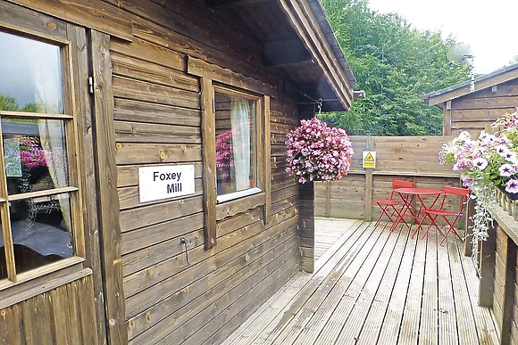 Foxy Lodge 