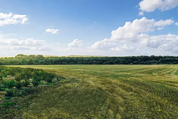 Goosedale Lodges, Nottingham