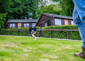 Grattons Cedar Lodges, Berrynarbor, Ilfracombe