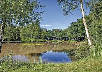The park setting 