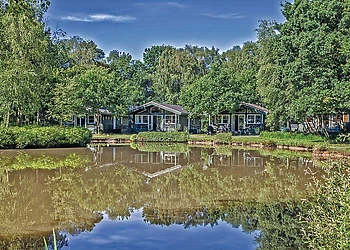 The park setting 