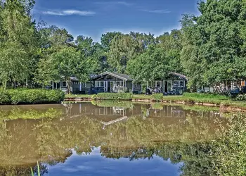 The park setting