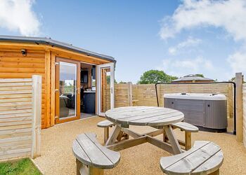 Starlight Wren - Green Meadows Park, Fitling, Nr Hornsea