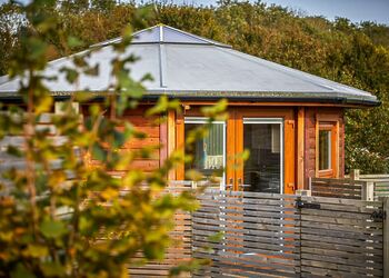 Starlight Wren (Pet) - Green Meadows Park, Fitling, Nr Hornsea
