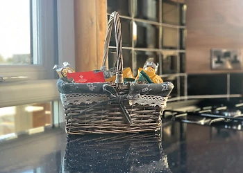 Octi-Lodge Mini Spa Pet 