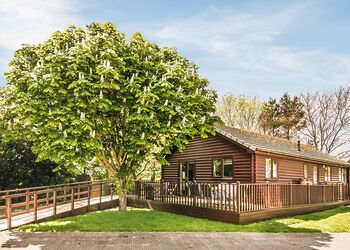 Typical Sycamore Lodge