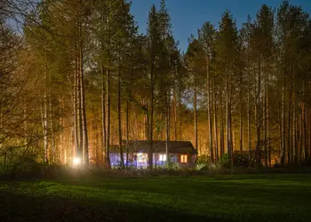 Griffon Forest, Flaxton, York
