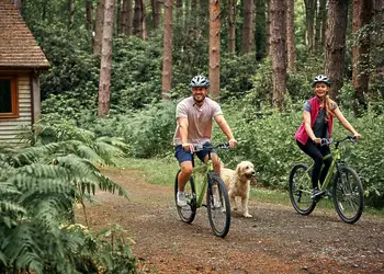 Griffon Forest, Flaxton, York