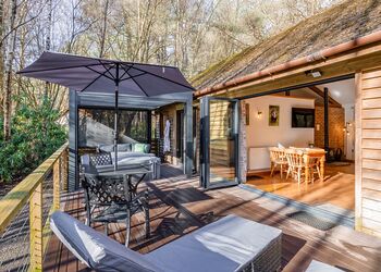 Poachers Premier - Griffon Forest, Flaxton, York